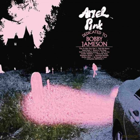 Ariel Pink: Dedicated To Bobby Jameson [Winyl]