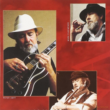 Roy Buchanan: Deluxe Edit.(Best 20 Bit) [CD]