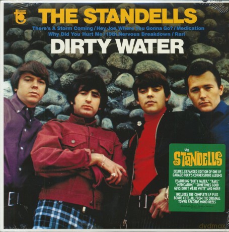 Standells: Dirty Water [Winyl]
