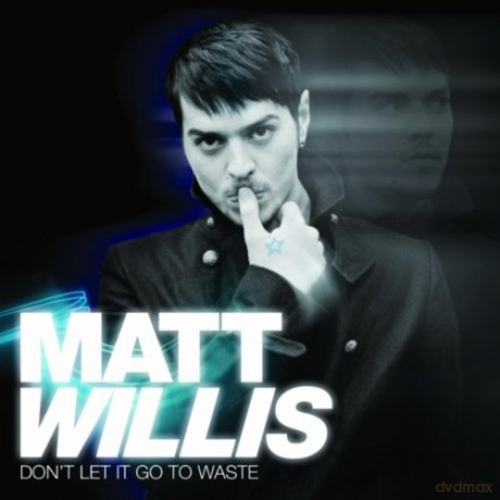 Matt Willis: Don'T Let It Go To Waste [CD]