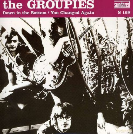 Groupies: Down in the Bottom/you... [Winyl]