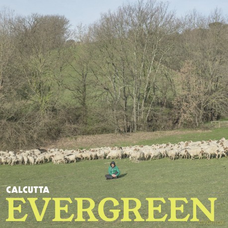 Calcutta: Evergreen-12 Vinyl Green Transparent [Winyl]