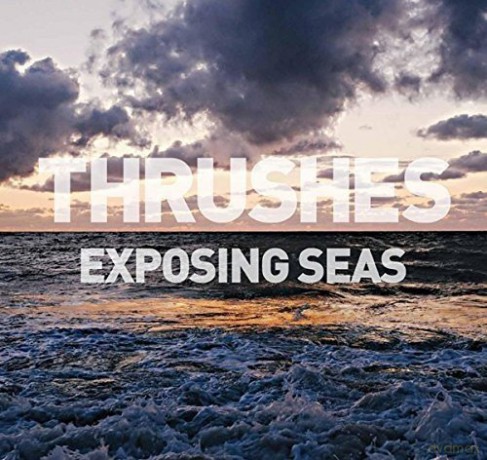 Thrushes: Exposing Seas [Winyl]