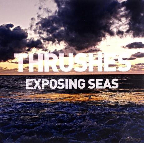 Thrushes: Exposing Seas [Winyl]