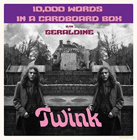 Twink: 10.000 Words In A Cardboard Box [Winyl]