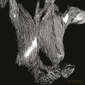 Oceansize: Self Preserved While The Bodies Float Up [Winyl]+[CD]