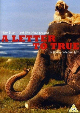 A Letter To True [DVD]