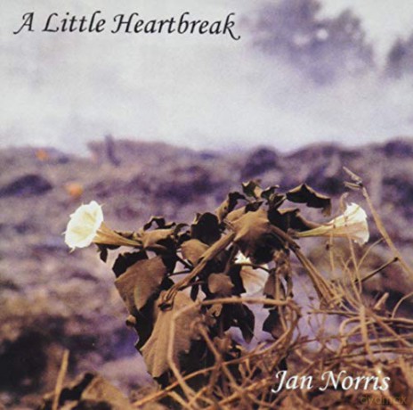 Jan Norris: A Little Heartbreak [CD]