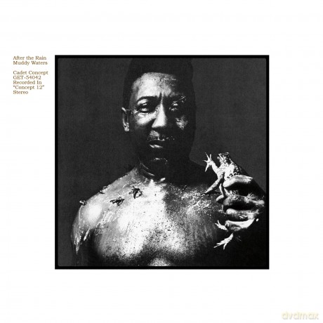 Muddy Waters: After The Rain [Winyl]