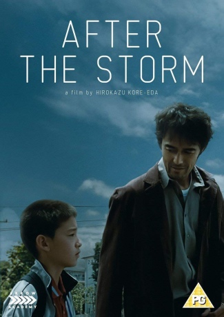 After The Storm [DVD]