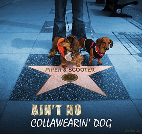 Piper Scooter: Aint No Collawearin Dog [CD]