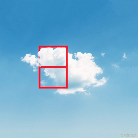 Molly: All That Ever Could Have Been (Alpine Clover Vinyl) [CD]