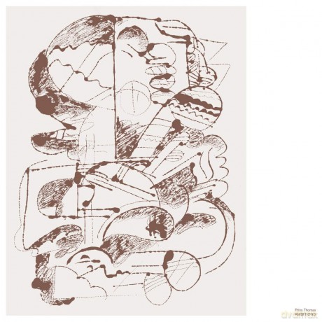Prins Thomas: Ambitions [2xWinyl]