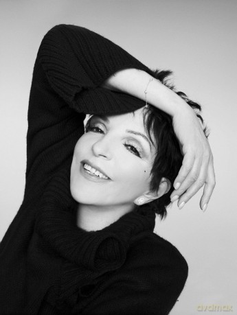 Liza Minnelli: Confessions [CD]