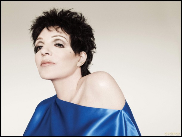 Liza Minnelli: Confessions [CD]