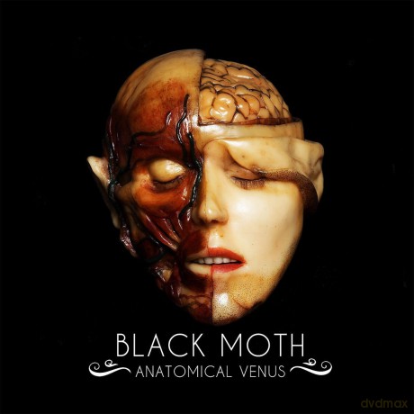 Black Moth: Anatomical Venus [Winyl]