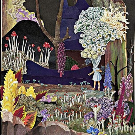 Psychedelic Porn Crumpets: And Now For The Whatchamacallit [CD]