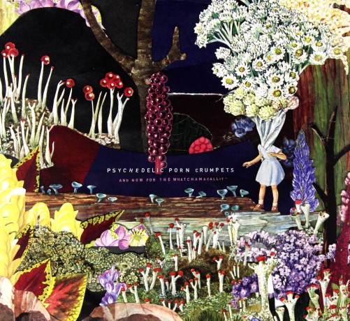 Psychedelic Porn Crumpets: And Now For The Whatchamacallit [CD]