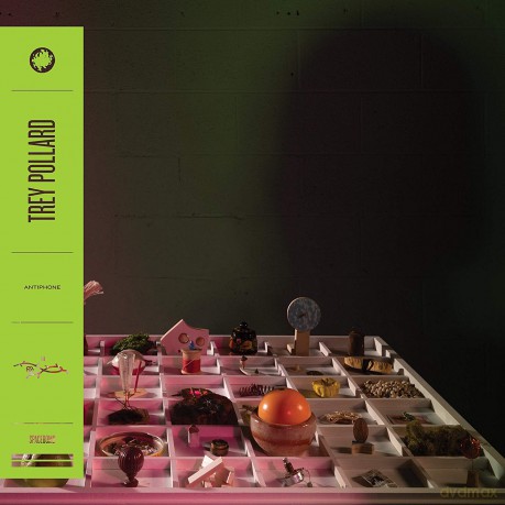 Trey Pollard: Antiphone [Winyl]