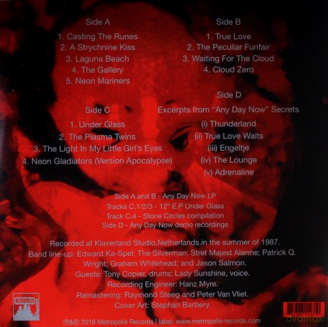 Legendary Pink Dots: Any Day Now (Expanded And Remastered Edition) [2xWinyl]