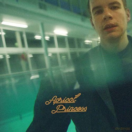 Rex Orange County: Apricot Princess [Winyl]