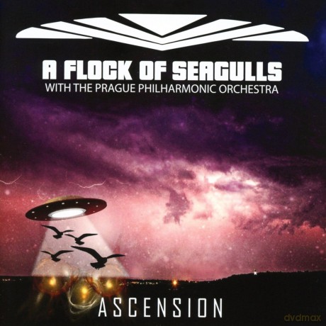 A Flock Of Seagulls: Ascension [CD]