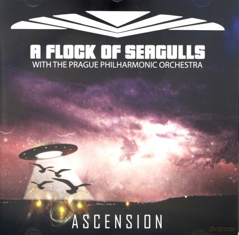 A Flock Of Seagulls: Ascension [CD]