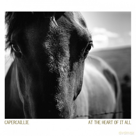 Capercaillie: At The Heart Of It All [CD]