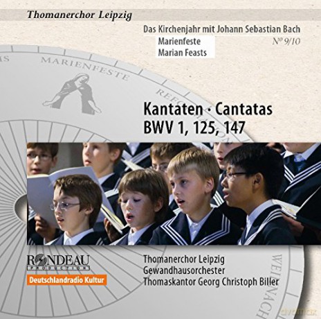 St Thomas Boys Choir Leipzig: Bach Cantatas Marian Feasts [CD]