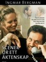 Sceny z życia małżeńskiego [DVD]