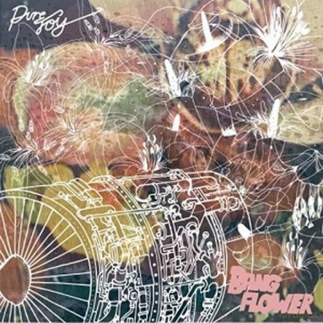 Pure Joy: Bang Flower [CD]