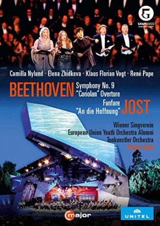 Beethovensymphony No 9 [DVD]