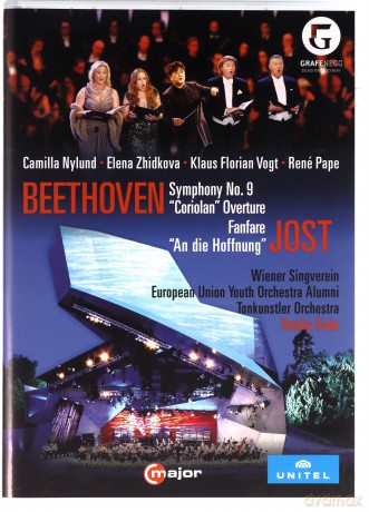 Beethovensymphony No 9 [DVD]