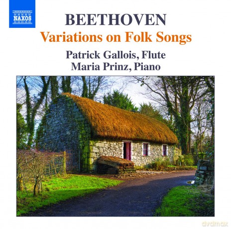 Patrick Galloismaria Prinz: Beethovenvariations On Folk Song [CD]