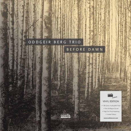 Oddgeir Berg Trio: Before Dawn [Winyl]