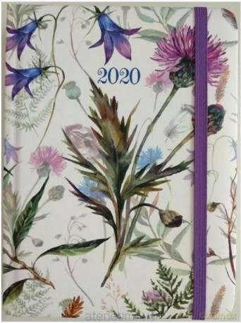 Kalendarz dzienny B6 2020 Chabry [KALENDARZ]