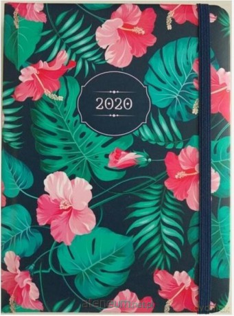 Kalendarz dzienny B6 2020 Hibiskus [KALENDARZ]