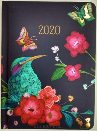 Kalendarz tygodniowy B6 2020 Zimorodek [KALENDARZ]