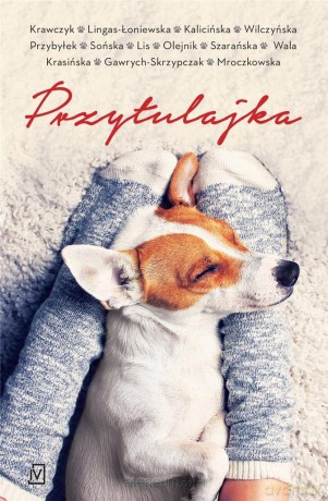 Przytulajka (pocket) [KSIĄŻKA]