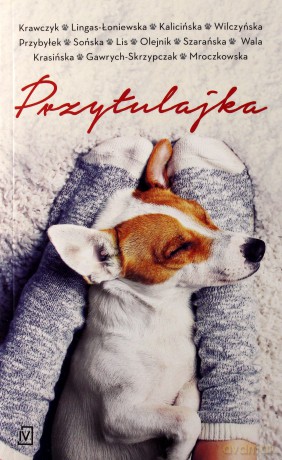 Przytulajka (pocket) [KSIĄŻKA]