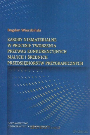 Zasoby niematerialne w procesie tworzenia - Bogdan Wierzbiński [KSIĄŻKA]