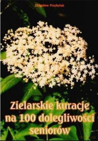 Zielarskie kuracje na 100 dolegliwości seniorów - Zbigniew Przybylak [KSIĄŻKA]