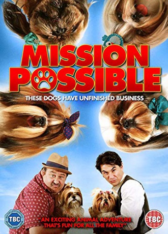 Mission Possible [DVD]