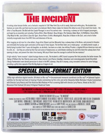 The Incident (Równoległe) [Blu-Ray]+[DVD]