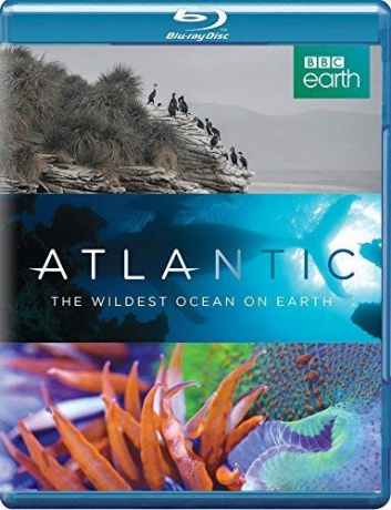 Atlantic Wildest Ocean On Earth [Blu-Ray]