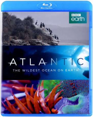 Atlantic Wildest Ocean On Earth [Blu-Ray]