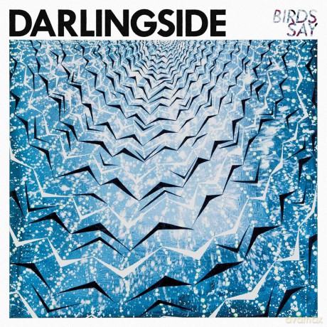 Darlingside: Birds Say [CD]