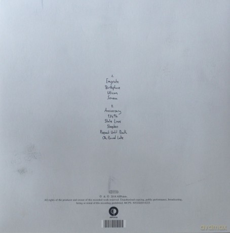 Novo Amor: Birthplace [Winyl]