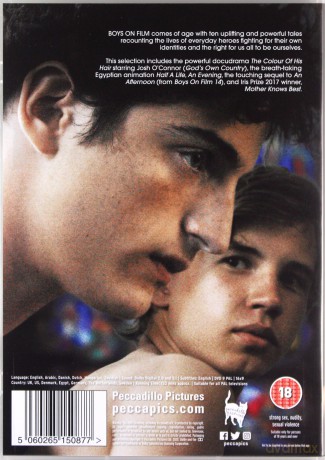 Boys On Film 18: Heroes [DVD]