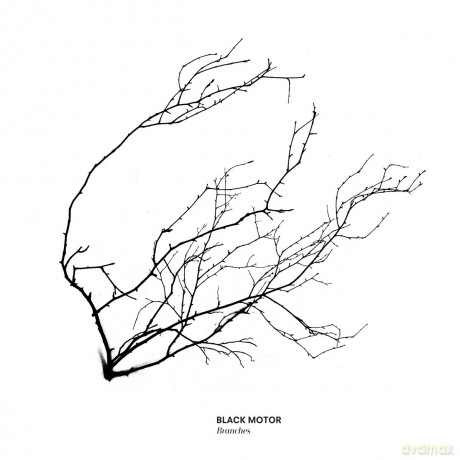 Black Motor: Branches [CD]